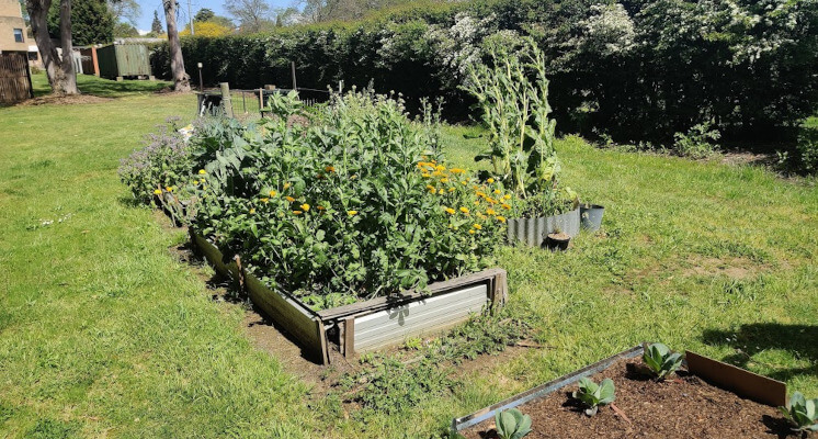Community Garden at Newnham UTAS campus