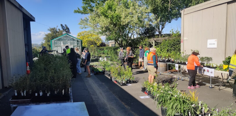 Plant sale at TAFE